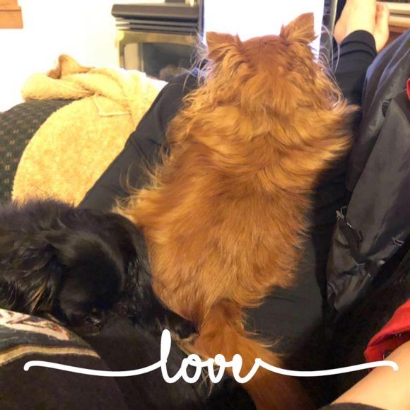 Meet your Posher, Cheryl - Picture 1 of 1